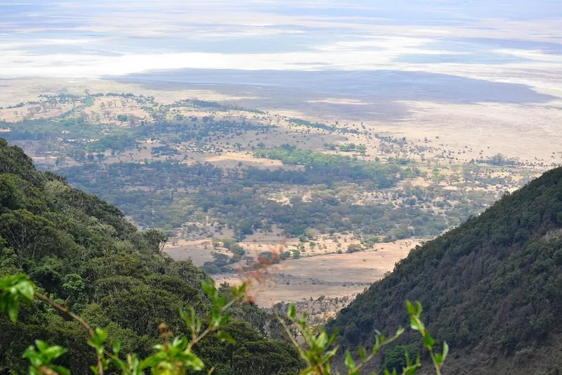 2 Days Safari to Tarangire and Ngorongoro - Tanzania safari gallery image